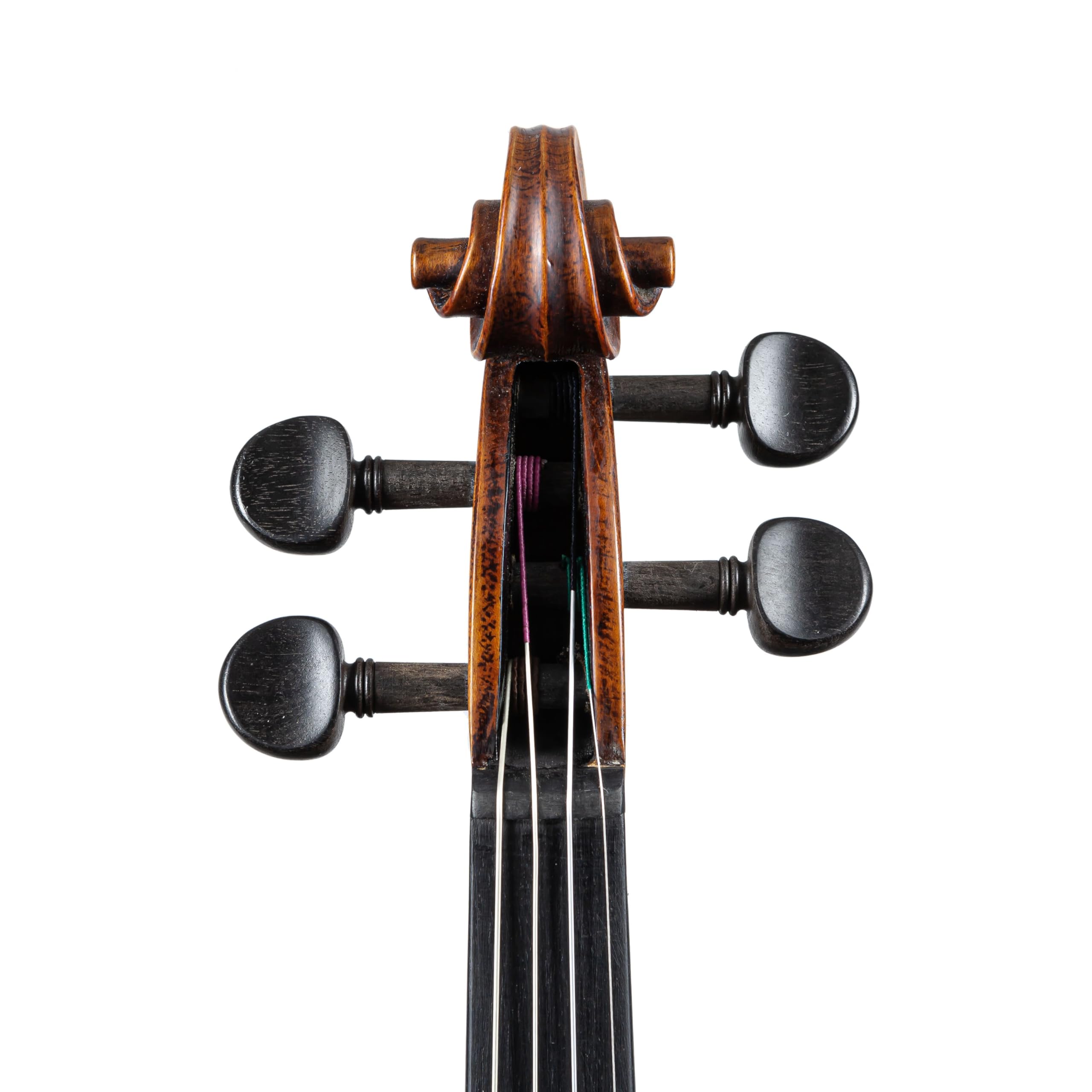 Amazon | STENTOR バイオリン アウトフィット 適応身長145cm以上 湿度